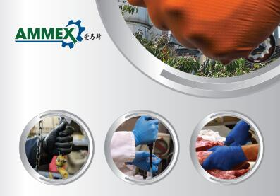 2020年Ammex定價調整